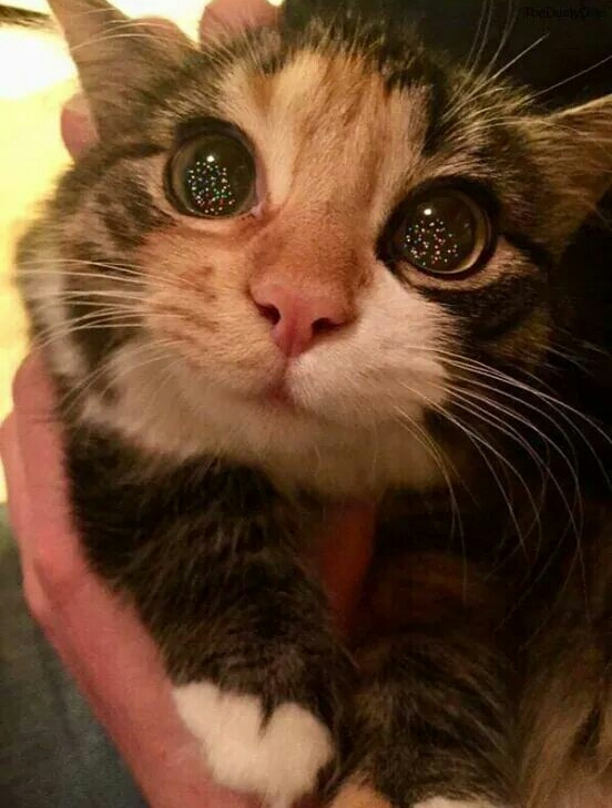 ojitos adorables❤