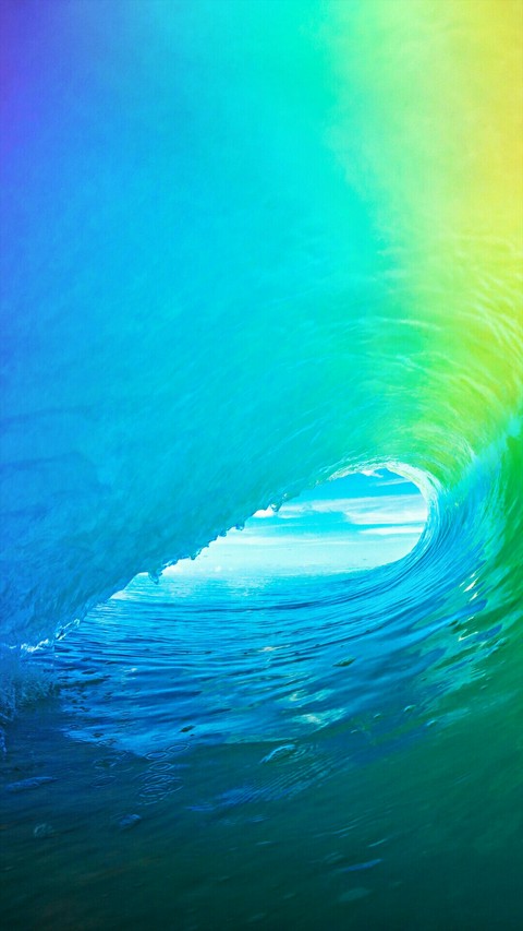 amazing!