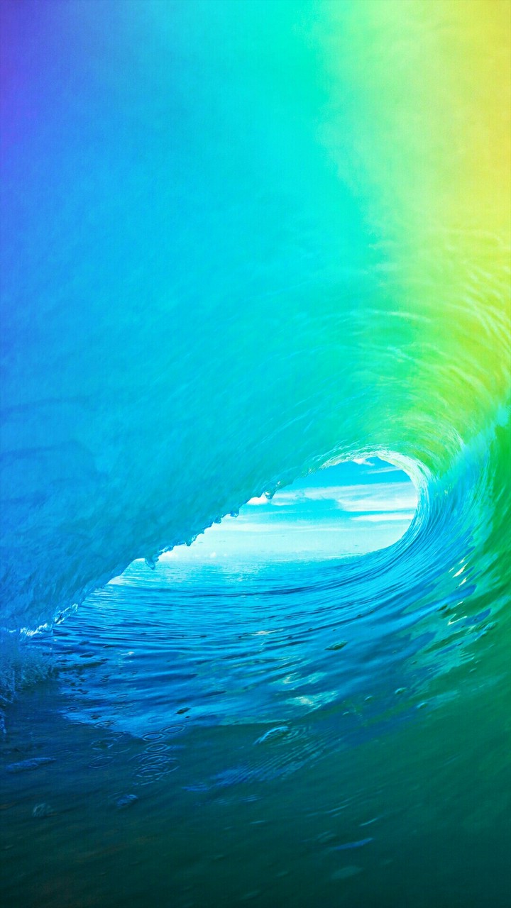 amazing!