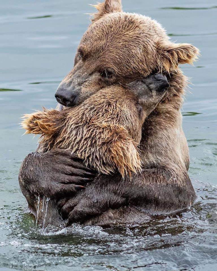 Hug