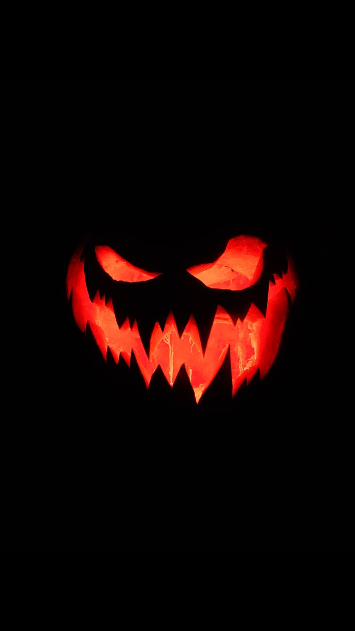 dynia