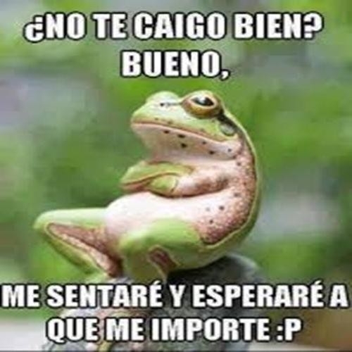 jajaja