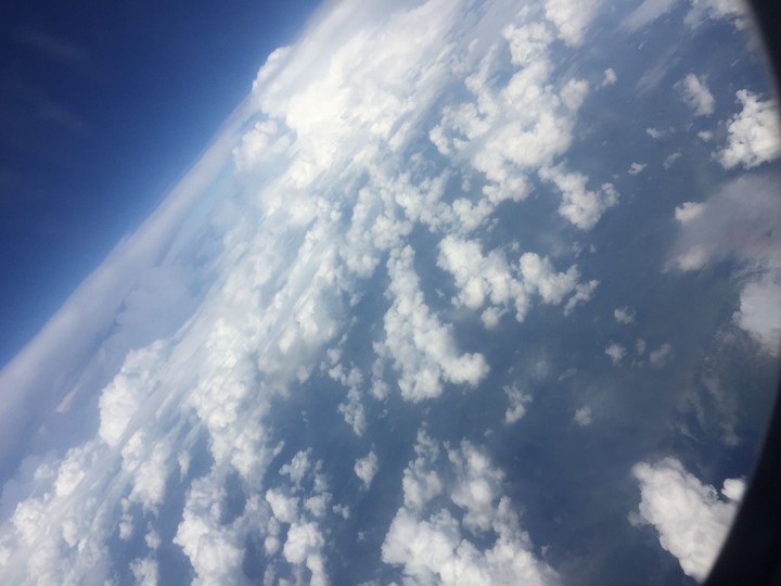 The World Below