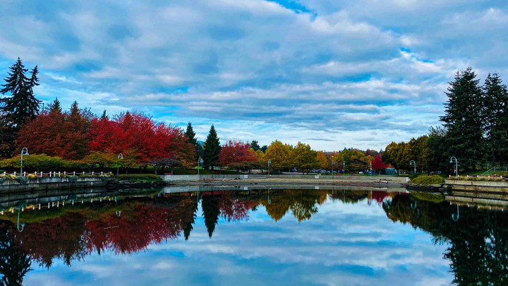 autumn colours