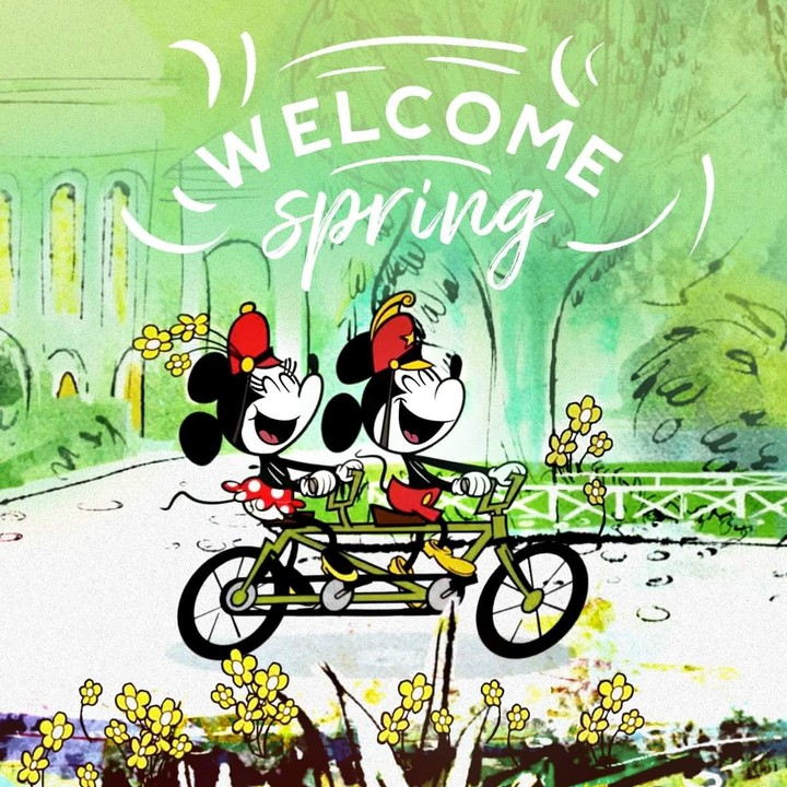 mickey mouse