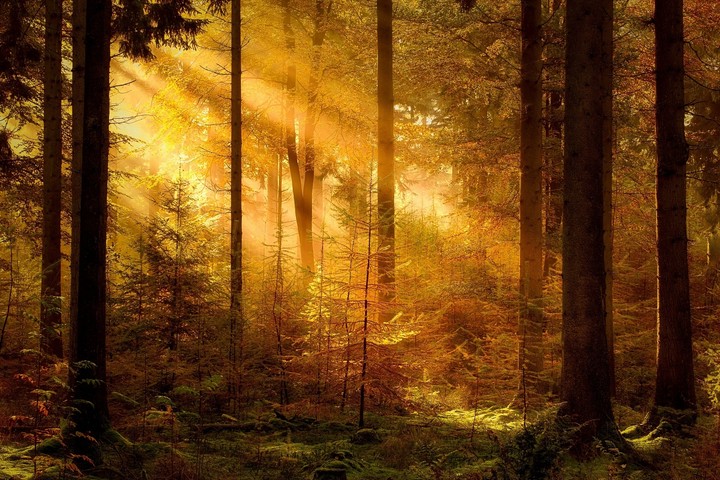 Illuminated by the sun