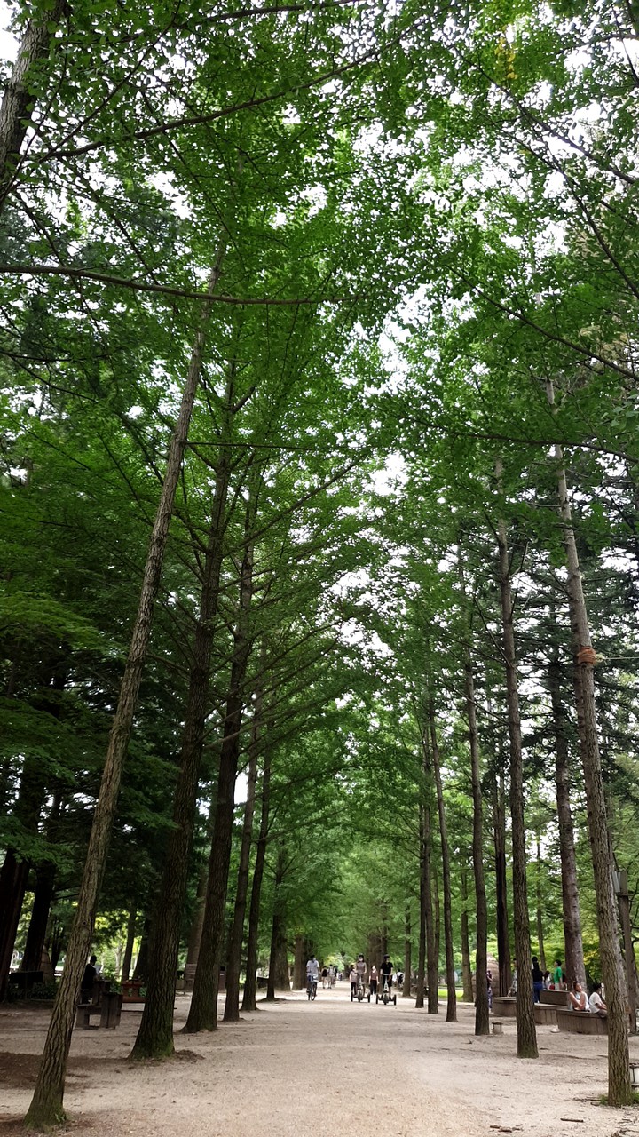 푸르지오~