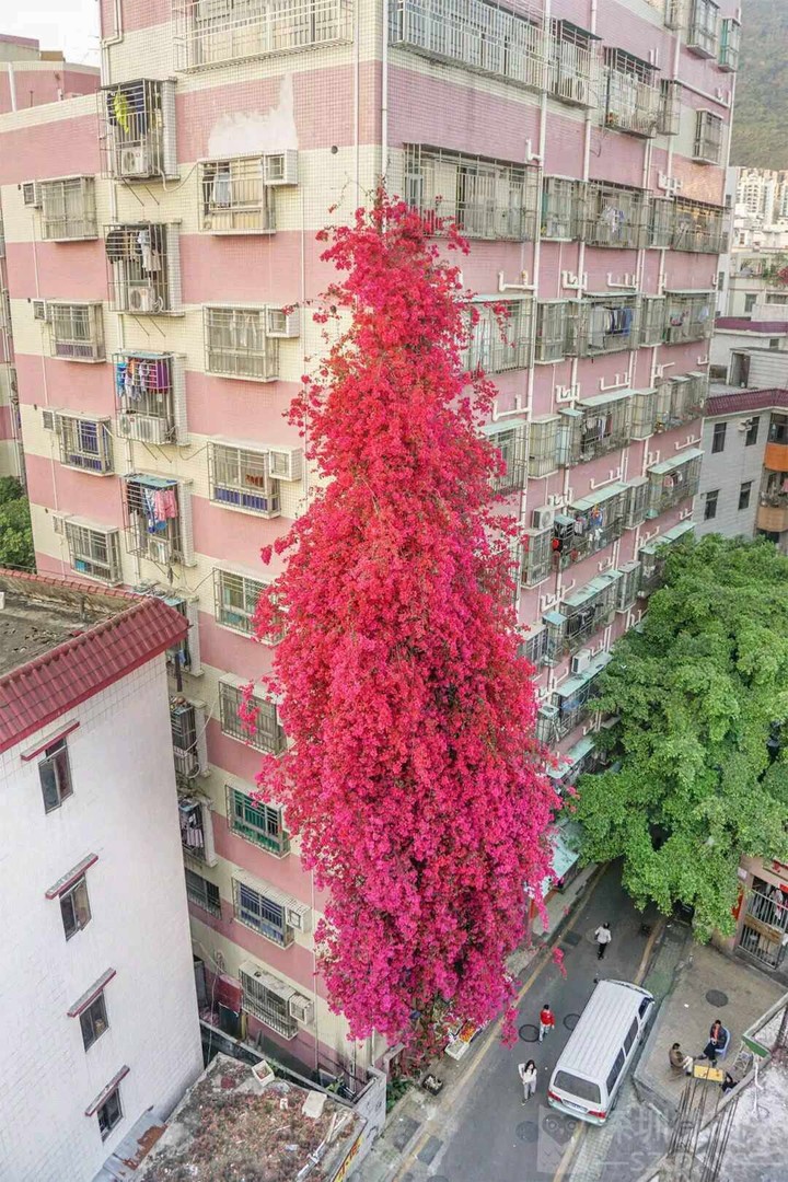 Nature beauty