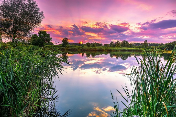 nature