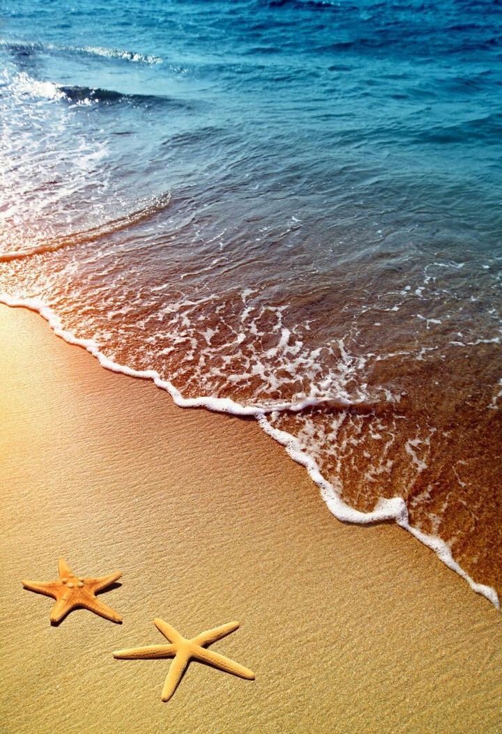 Star Sea