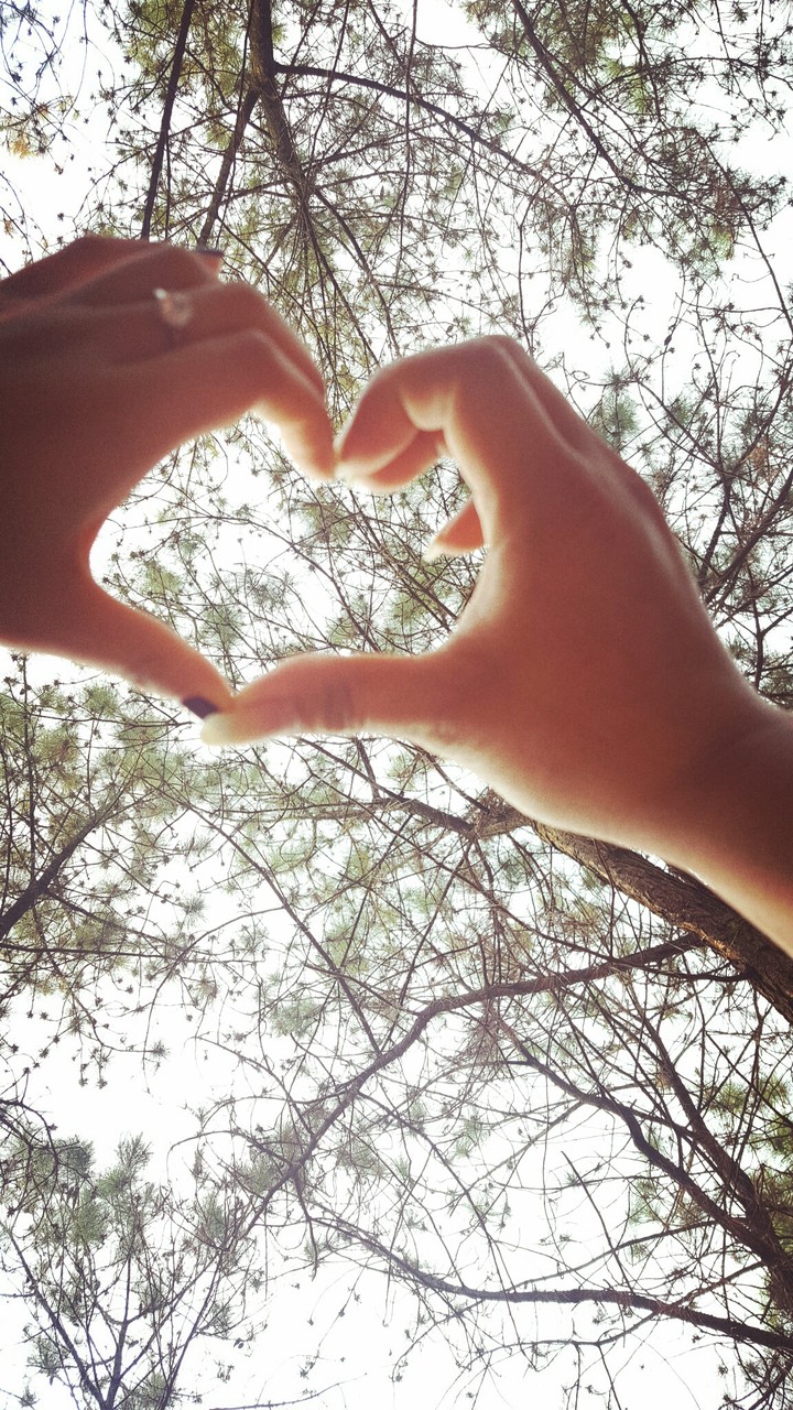 lover