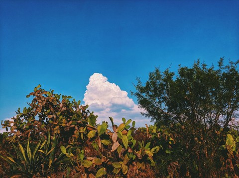 Blue Sky