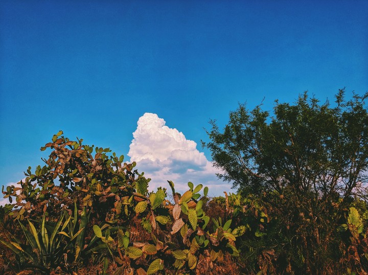 Blue Sky