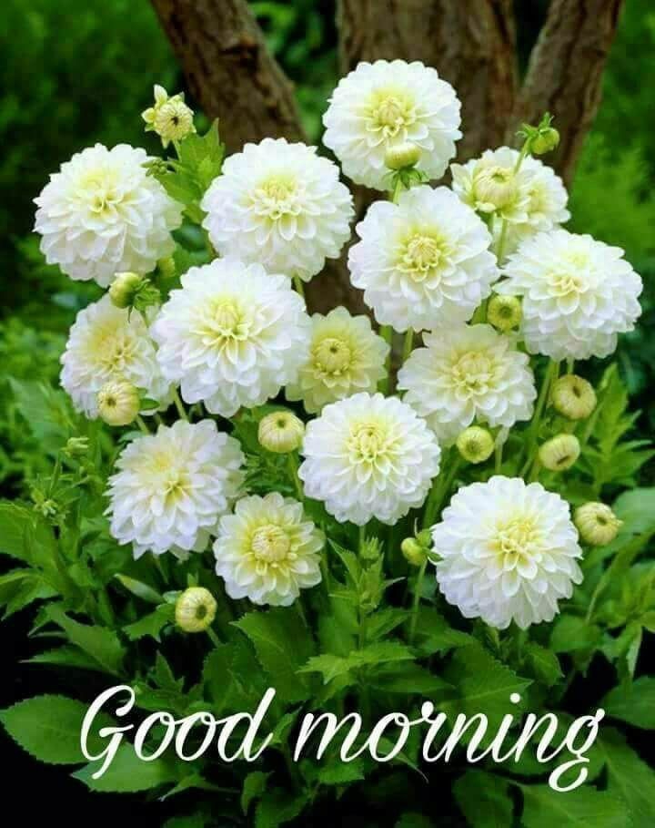 Good morning to everyone.