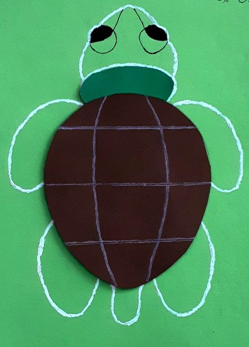 turtle or i??
