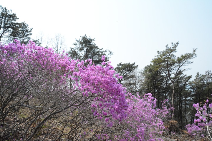 풍경이미지