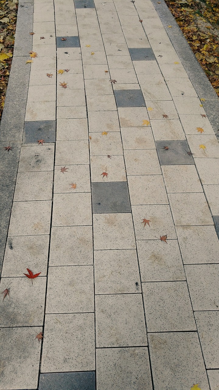 Promenade