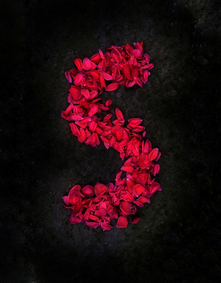 Rose petals "S"