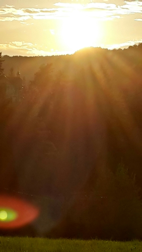 kgfgggxgyvbg , vgzsggbg cvggvl x v c v vx k