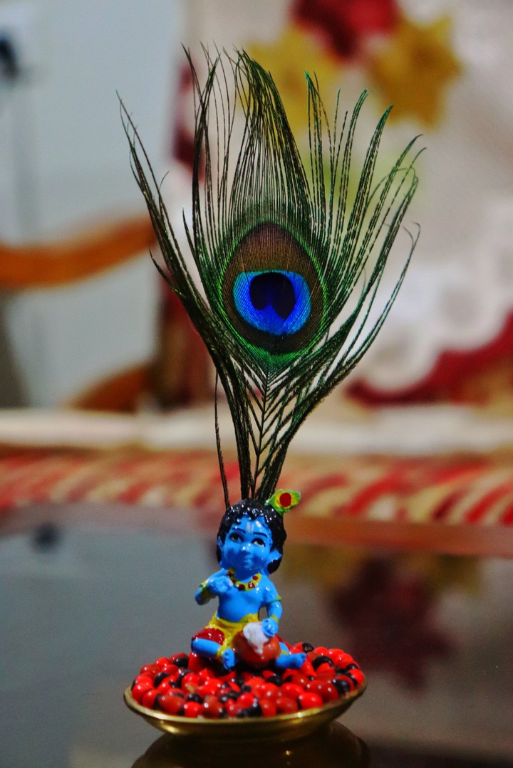 Lord Krishna