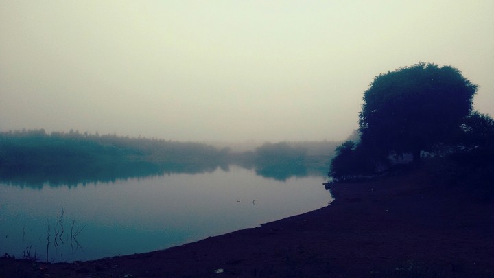 Dawn