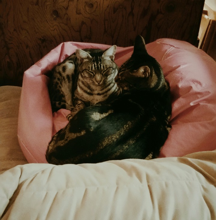 nap time