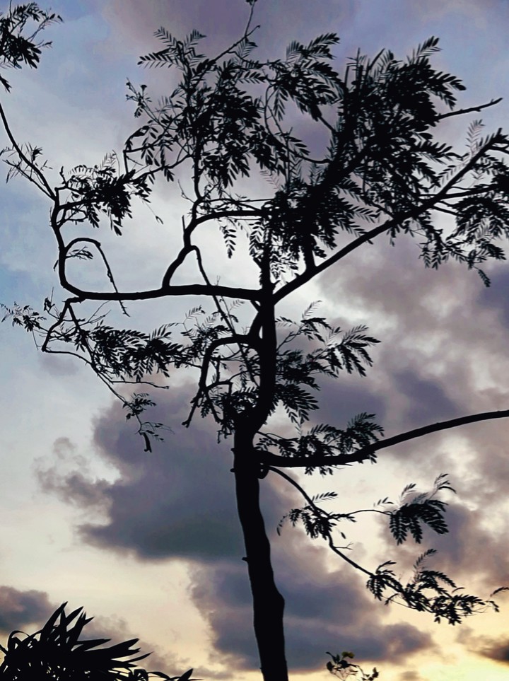 sky