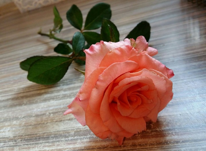 Flowers )