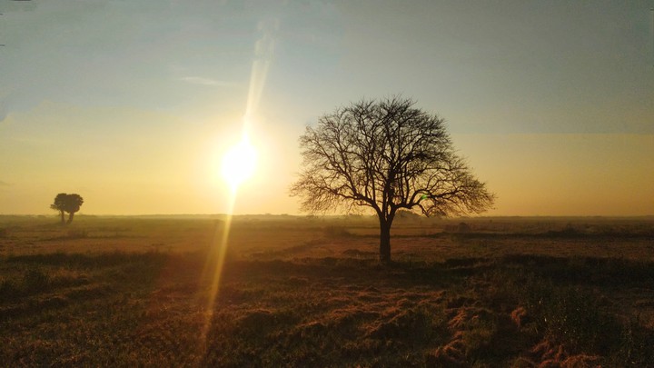 sun shine...