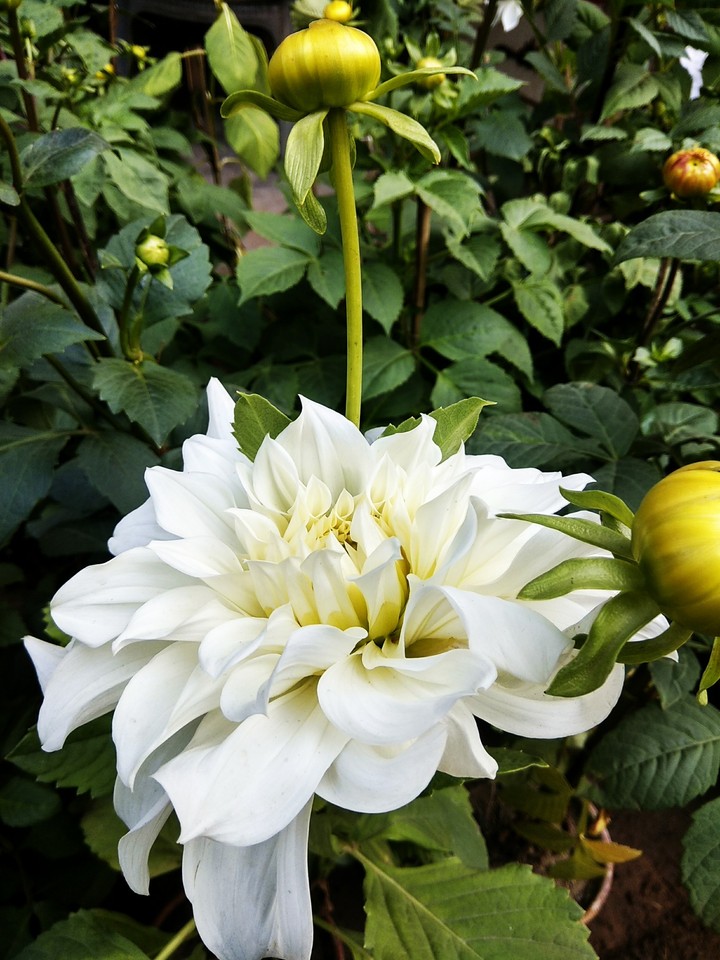 beauty of nature