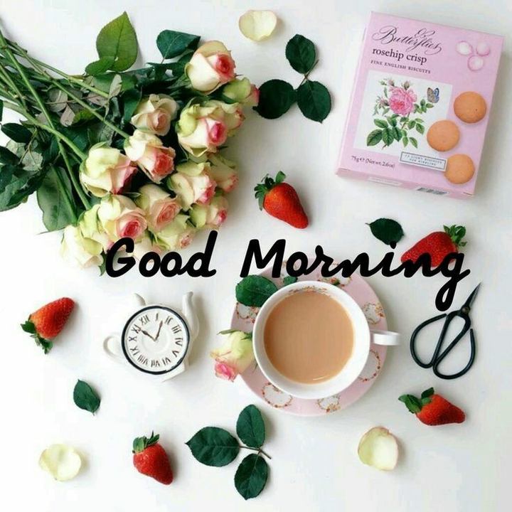 Morning
