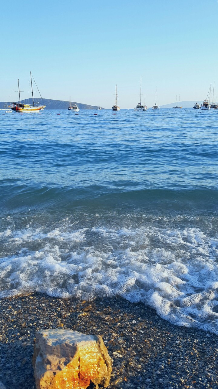 Waves