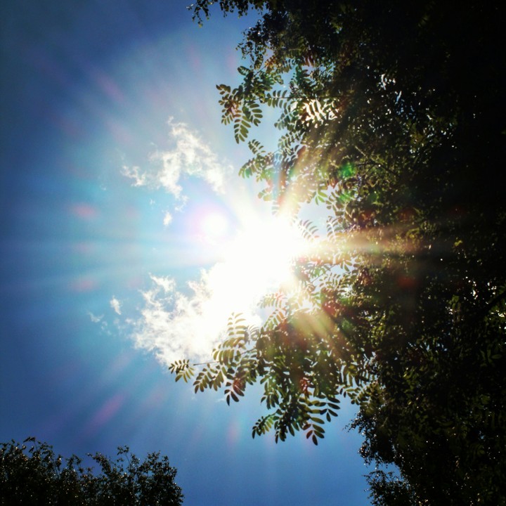 солнечный день