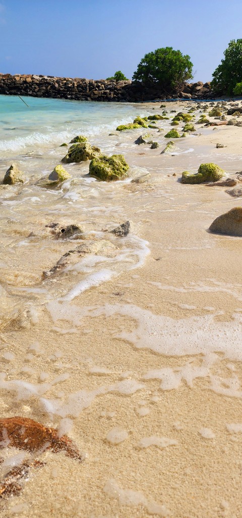 Fluid, sea桌布