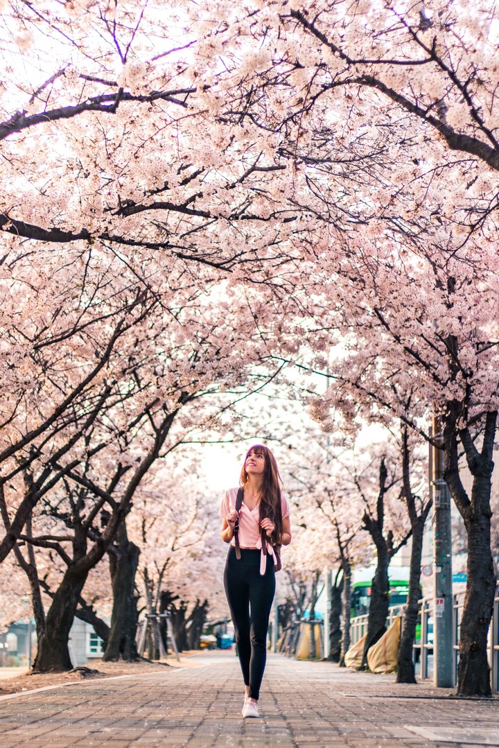 Woman in White Cherry Blossom
