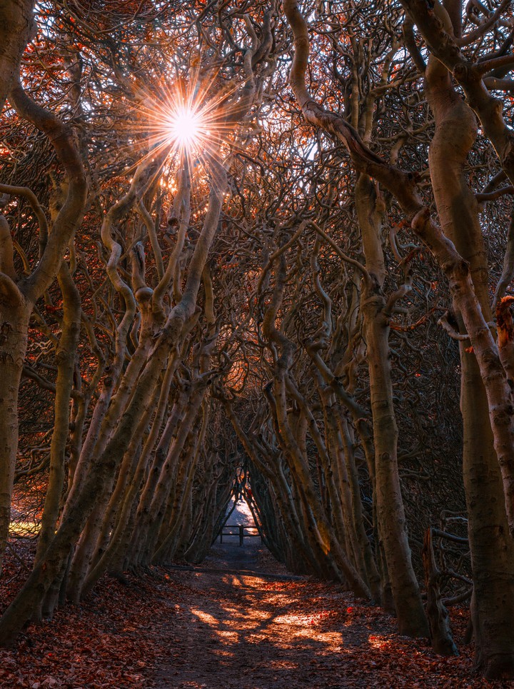 autumn