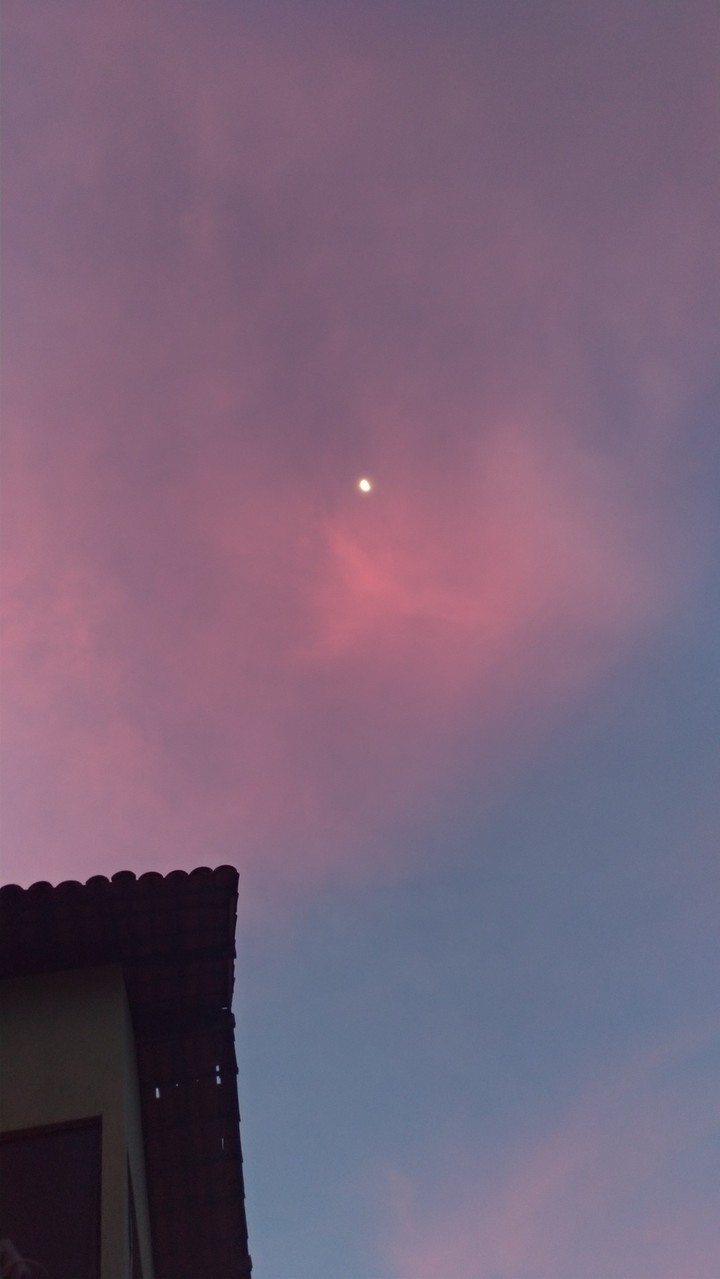 The moon