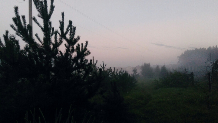 Countryside misty view