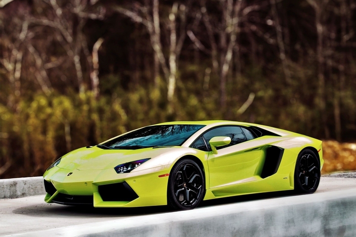 Lamborghini with blur nature