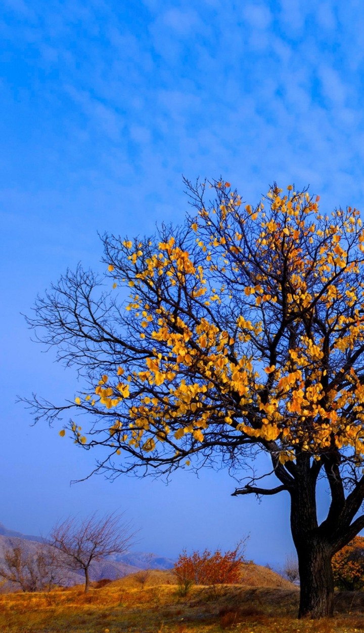 céu azul