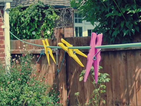 Pegs