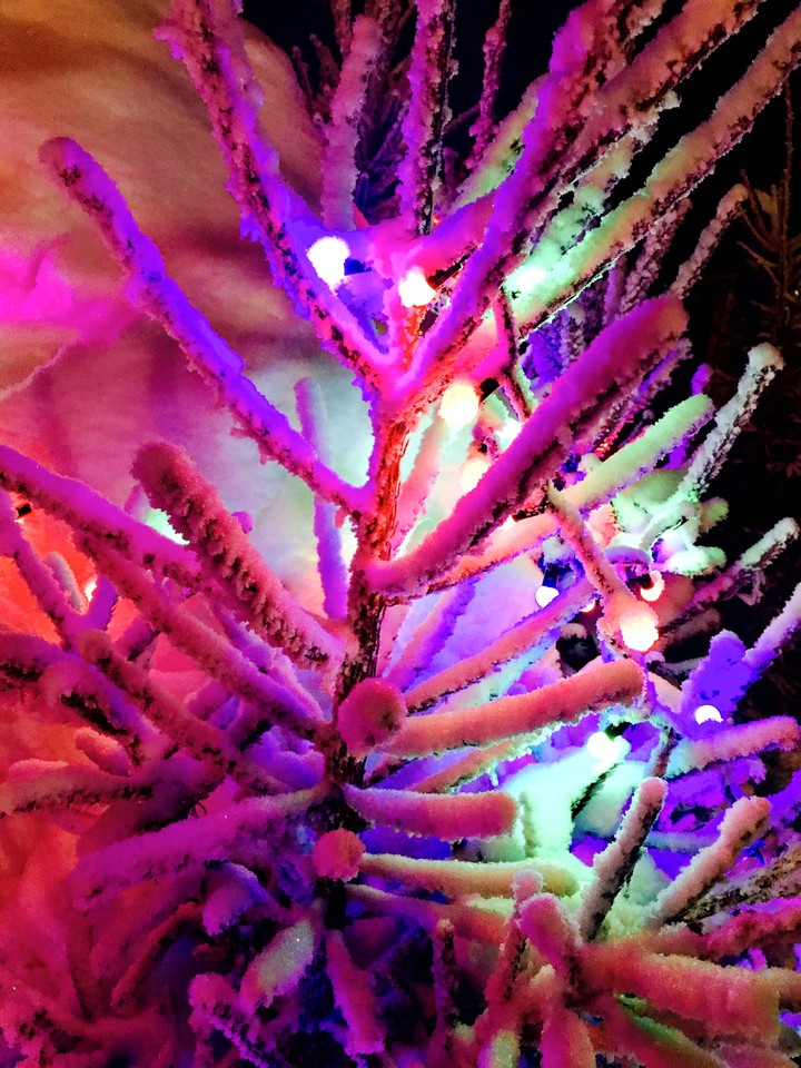 christmas tree
