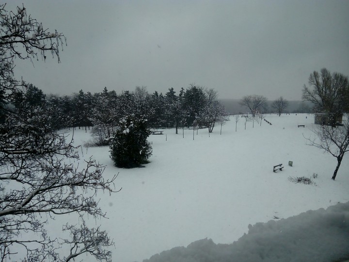 Snowy