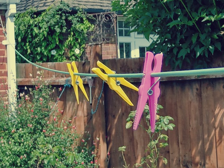 Pegs