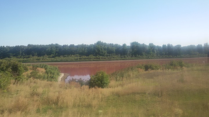 Червоний ставок.