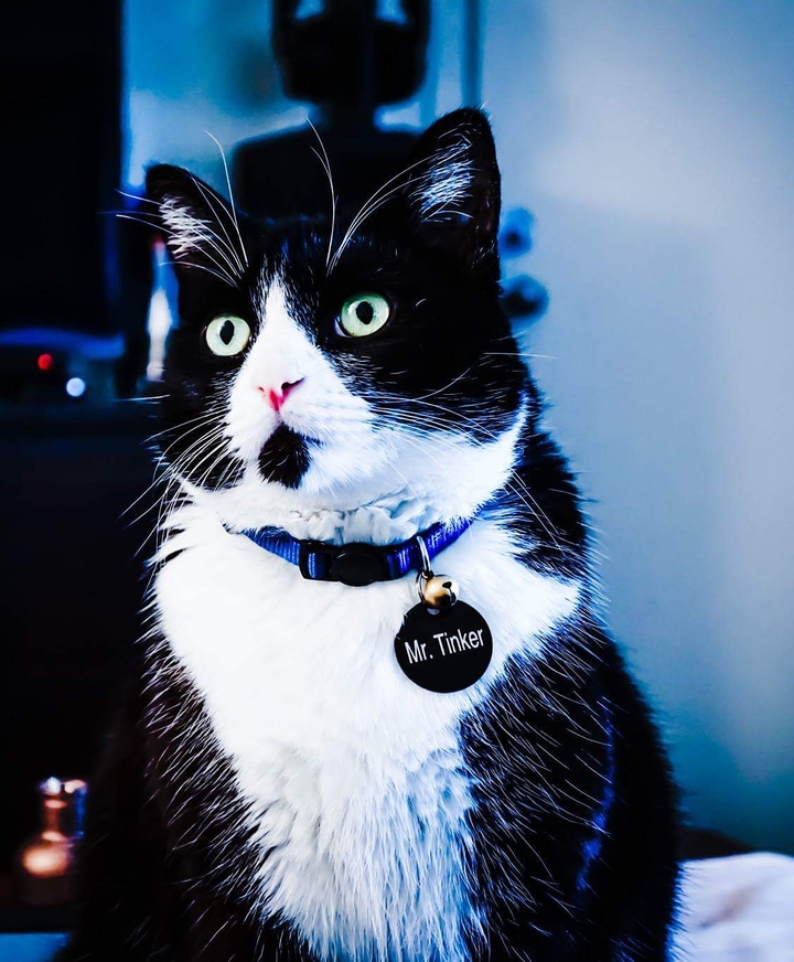 Mr. Tinker