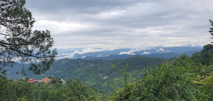 nature