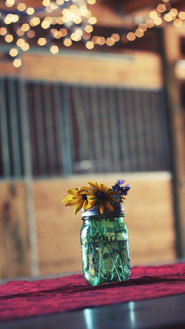 flowers