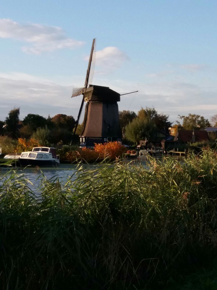 real dutch windmill
