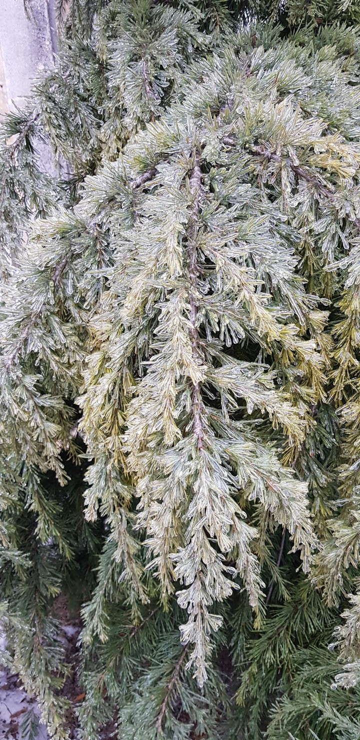Winter in Romania